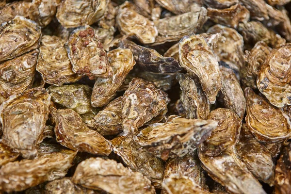 アーカコン湾の牡蠣 デリカテッセンは アキテーヌの食品を参照してください フランス — ストック写真
