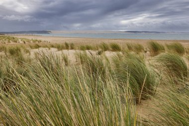 Arcachon Körfezi ve Cape Ferret, Aquitaine 'de. Atlantik Okyanusu, Fransa