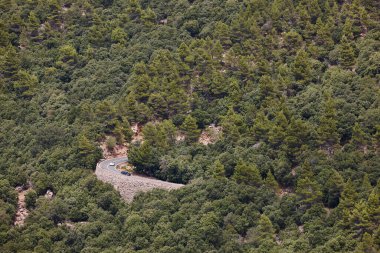 Mallorca adasında ormanla çevrili dolambaçlı bir yol. İspanya