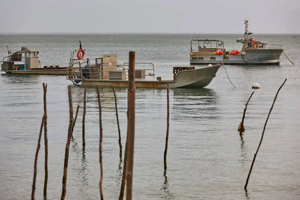Osztriga Hajók Arcahon Öböl Partján Akvakultúra Ágazat Franciaország — Stock Fotó