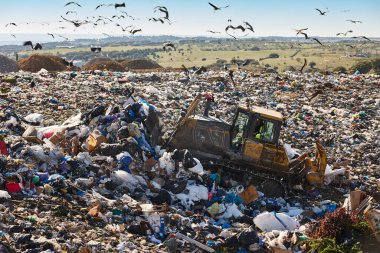 Heavy machinery shredding garbage in an open air landfill. Waste