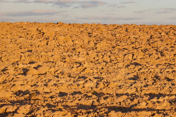 Trockenes Land Globale Warnung Und Klimawandel Dürre Und Wüstenbildung — Stockfoto