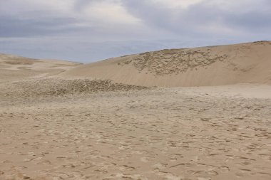 Arcachon havzasında Pilat kum tepesi ve yeşil orman. Aquitaine, Fransa