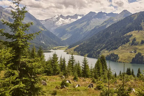 Bela Montanha Austríaca Floresta Paisagem Lago Speicher Durlassboben Áustria — Fotografia de Stock