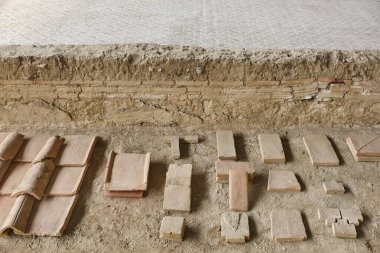 La Olmeda köyünde Roma arkeolojik kazıları. Palencia, İspanya