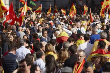 Bir sürü insan. İspanya 'da İspanyol bayraklarıyla gösteri. Protesto