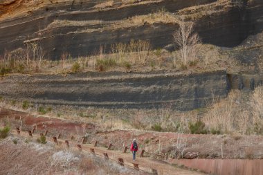 Girona, Katalunya 'daki volkanik bölge. Çapraz kedi volkanı. La Garrotxa, İspanya
