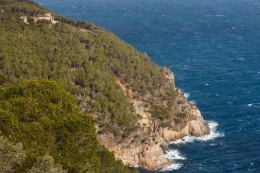 Costa Brava kıyı şeridi manzarası. Pinewood Ormanı ve Akdeniz. İspanya