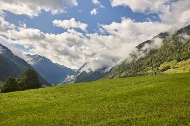 Grossglockner. Serpentine Alpine Yolu bakış açısı. Yeşil vadi ve bulutlar. Avusturya
