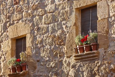 Pencereleri ve saksıları olan antika taş cephe. Evin dışı.