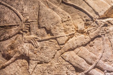Asurriam nöbeti. Kavgada kemerler. Niniveh harabeleri. Mezopotamya, Irak