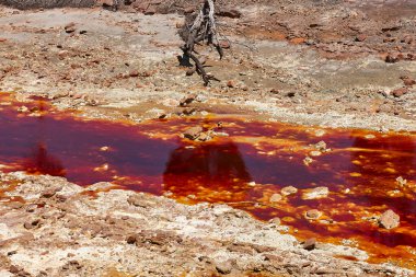 Ferruginous oksit suları. İsyan benim açılışımı yaptı. Huelva, Endülüs. İspanya