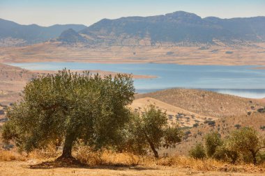 Lake scenery in Siberia extremena. La Serena reservoir. Badajoz, Spain clipart