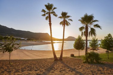 Suni plajda palmiye ağaçlarıyla gün batımı. Peloche, Badajoz. İspanya
