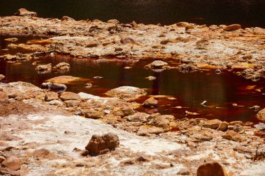 Ferruginous oksit suları. İsyan benim açılışımı yaptı. Huelva, Endülüs. İspanya