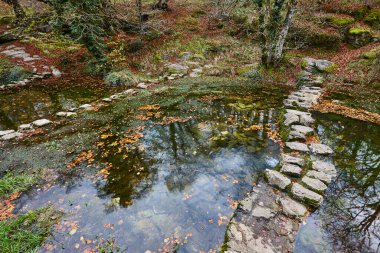 Mineral yay subatanı. Santiago Burgos 'ta biniyor. Nervion Şelalesi, İspanya