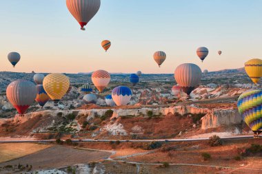 Balloons in rose valley, Cappadocia. Spectacular flight in Goreme. Turkey