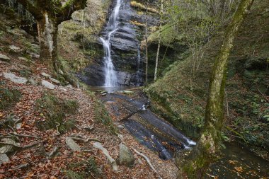 Gorbeia Ulusal Parkı 'nda Uguna şelalesi. Bask Ülkesi, İspanya
