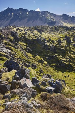 Volkanik bazalt dağ sırası yosunlarla kaplı. Snaefellnes Yarımadası. İzlanda