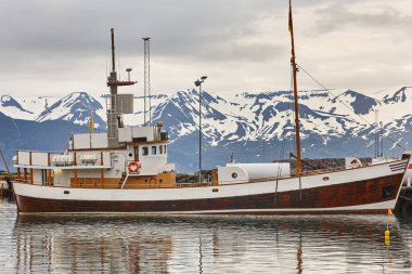 Husavik limanında geleneksel yelkenlileri izleyen balina. İzlanda 'da turizm