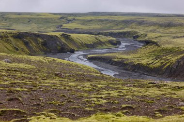 Lakagigar 'daki yosunlu arazi ve nehir. Volkanik alan. İzlanda
