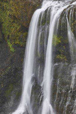 İbne şelale. Lakagigar 'daki yosunlu kayalık arazi. İzlanda simgesi