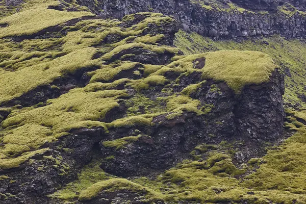 Lakagigar 'daki yosunlu ve volkanik manzara. Plato bölgesi. İzlanda