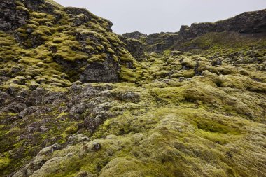 Lakagigar 'ın yosunlu ve sisli manzarası. Volkanik alan. İzlanda