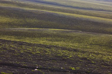 Lakagigar 'daki yosunlu ve volkanik manzara. Plato bölgesi. İzlanda