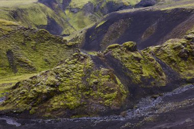 Lakagigar 'daki yosunlu arazi ve nehir. Volkanik alan. İzlanda