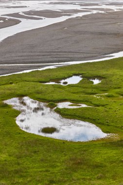 Lonsvik yakınlarındaki İzlanda göl kıyısı manzarası. Doğu fiyortlarında. İzlanda