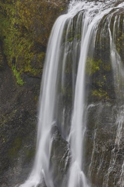 İbne şelale. Lakagigar 'daki yosunlu kayalık arazi. İzlanda simgesi