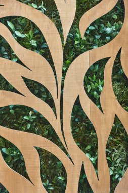 Yeşil yapraklı ve ahşap desenli tropik bir arka plan. Doğa soyut