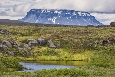 Herdubreid dağı ve deresi. Highland bölgesi. F88 Yolu. İzlanda manzarası