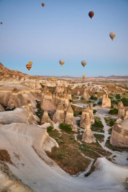 Balloons in rose valley, Cappadocia. Spectacular flight in Goreme. Turkey