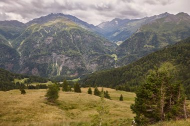 Grossglockner. Alp manzaralı yol manzaralı. Yeşil orman ve vadi. Avusturya