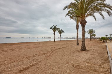 Palmiyeli kumsal. La Manga, Murcia. İspanya