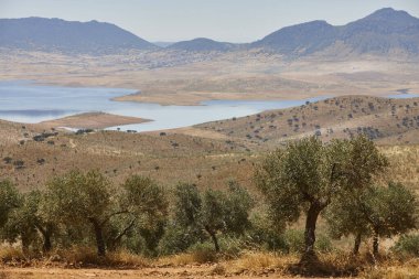 Sibirya Ekstremena 'daki göl manzarası. La Serena rezervuarı. Badajoz, İspanya