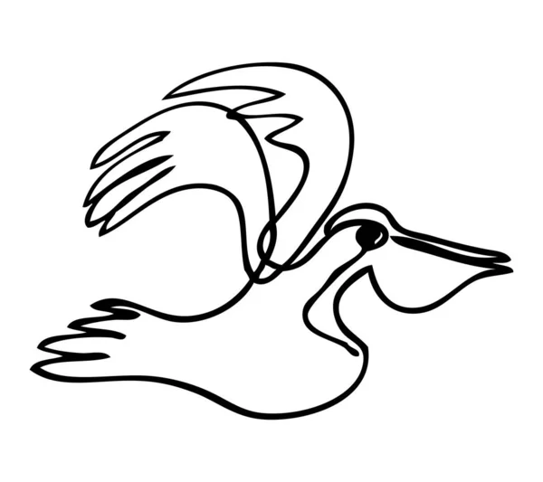 Simple Vector Sketch Pelican Single One Line Art Continuous — Stock Vector