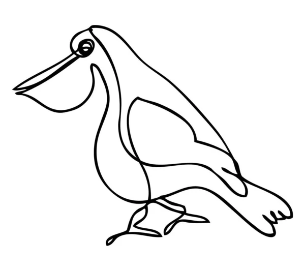 Esboço Vetorial Simples Pelicano Uma Única Linha Arte Contínua —  Vetores de Stock