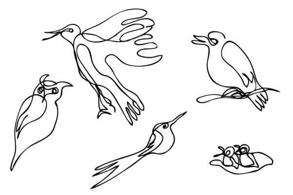 Jednoduchý Vektorový Náčrt Pták Jednořádkové Umění Souvislý — Stockový vektor