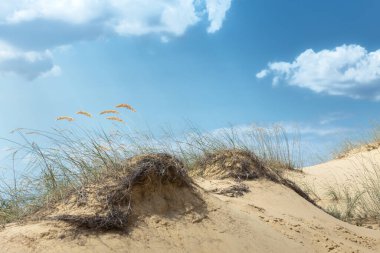 Güneş ışığındaki kum tepeleri