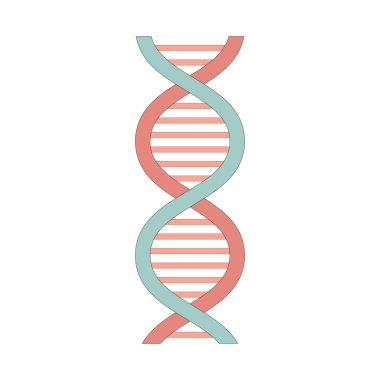 DNA testi. Deoksiribonükleik asit. Makromolekül. RNA ve proteinler.