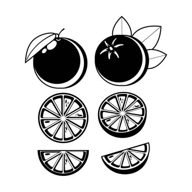 Siluet, ana hatlarıyla Turuncu ve dilimle. Taze sulu tropikal meyve. Vektör illüstrasyonu.