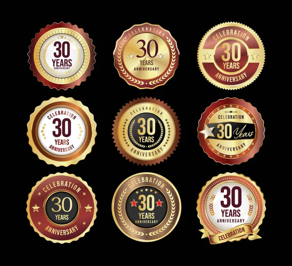 Collection Golden Anniversary Badge Labels Vector Illustration — Stock Vector
