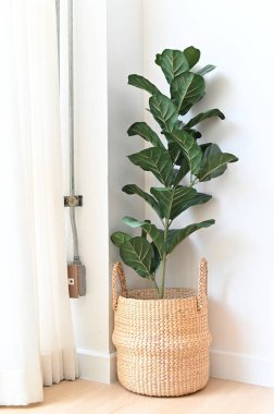 Artificial plant on room corner, Indoor tropical houseplant for home and living room interior.
