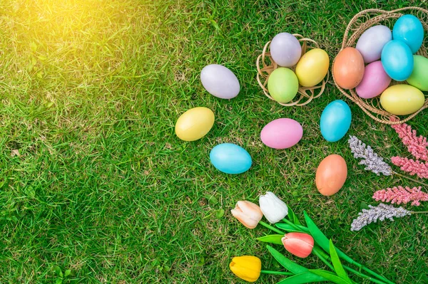 stock image Happy Easter holiday greeting card concept. Colorful Easter Eggs and spring flowers on green grasses background. Top view, flat lay, copy space.