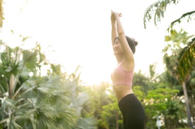 Sağlıklı açık hava yaşam tarzı 30 'lu yaşlardaki genç Asyalı kadınlara pembe spor kıyafetleri giydirip yoga yaptırıyor ve güneş doğarken parktaki kaslarını esnetiyor. Bu fitness yoga kızıyla sağlık ve refah kavramı