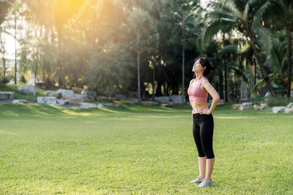 女慢跑者 三十多岁的亚洲女人身穿粉色运动服 呼吸新鲜空气 准备身体 然后在日落时跑到公园里的肖像 健康的生活方式 健康的生活方式 — 图库照片