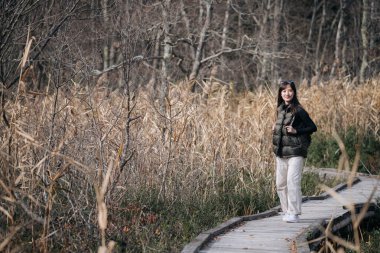 Asya 'lı bir kadın, Japonya' nın sonbahar manzarasını gezerken altın bir gökyüzünün altında ormanın sessizliğinin tadını çıkarıyor..